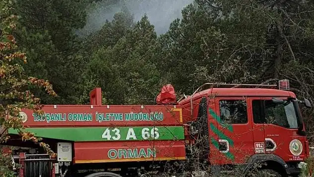 Ormanlık alana düşen yıldırım yangına neden oldu