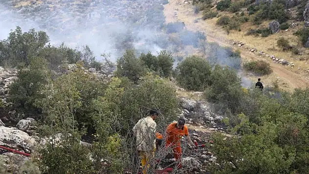 Ormanlık alanda çıkan yangın kontrol altına alındı