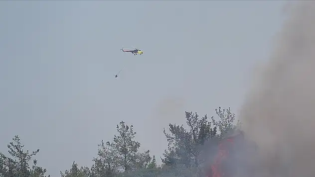 Ormanlık alanlarda çıkan yangınlara havadan ve karadan müdahale ediliyor