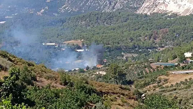 Örtü yangını ormanlık alana sıçramadan söndürüldü