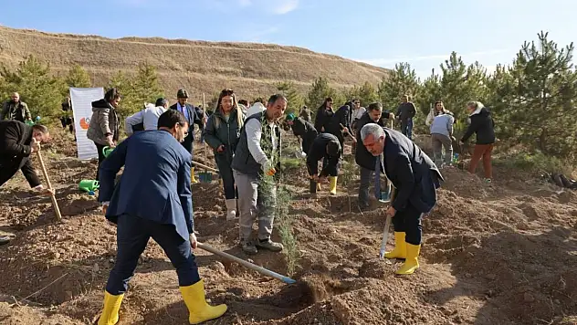 ÖSYM, 51'inci yılını fidan dikimi ile kutladı