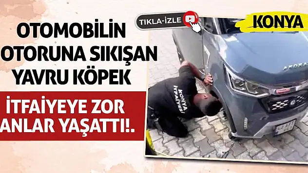 Otomobilin motoruna sıkışan yavru köpek itfaiyeye zor anlar yaşattı!