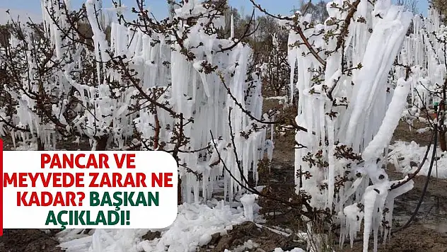Pancar ve meyvede zarar ne kadar? Başkan açıkladı