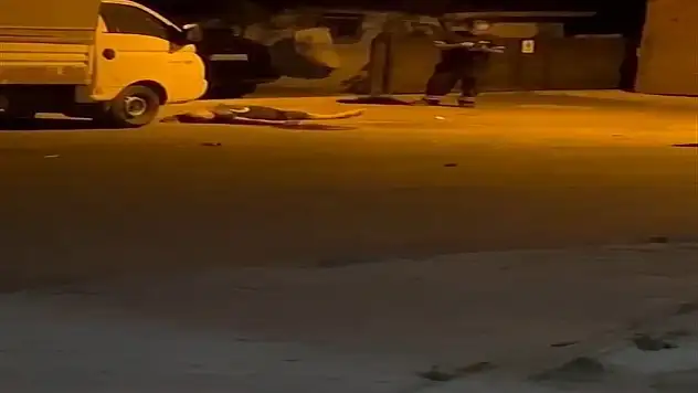 Park Yeri Yüzünden Kardeş Katili Oldu!