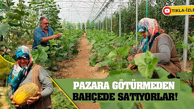 Pazara Götürmeden Bahçede Satıyorlar!