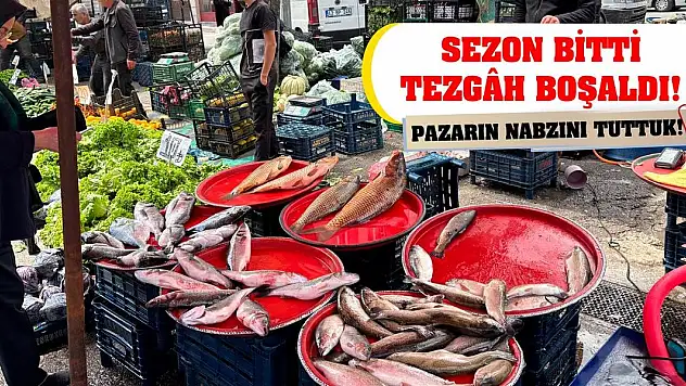 Pazarın Nabzını Tuttuk! Sezon Bitti Tezgâh Boşaldı!