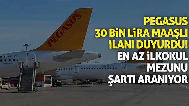 Pegasus 30 bin lira maaşlı ilanı duyurdu! En az ilkokul mezunu şartı aranıyor