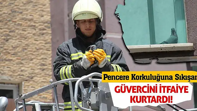 Pencere Korkuluğuna Sıkışan Güvercini İtfaiye Kurtardı!