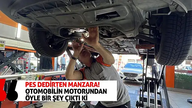 Pes Dedirten Manzara! Otomobilin Motorundan Öyle Bir Şey Çıktı Ki