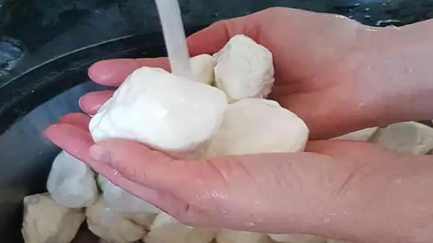 Peynir kabına bir küp şeker koymak yeterliymiş! O sorun kökten çözülecek