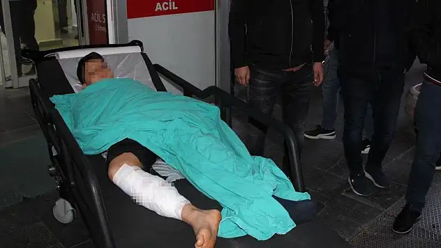 Pikniğe giden çocuğa başıboş köpekler saldırdı