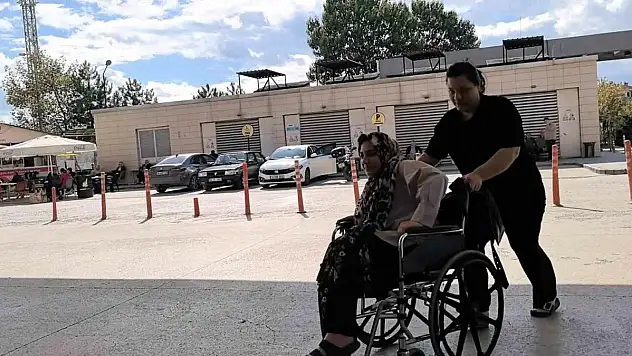 Piknik yaparken yılan ısırdı, hastaneye kaldırıldı