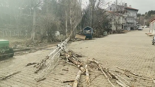Rüzgardan dolayı Konya'nın 2 ilçesinde hayat aksadı