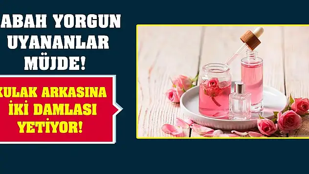 Sabahları yorgun uyananlar müjde! Kulak arkasına iki damlası yetiyor!