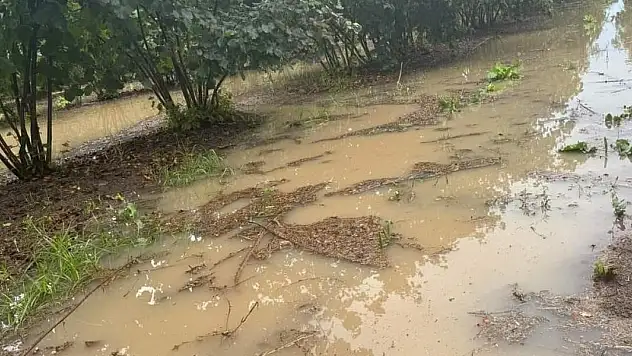 Sağanak, üreticiyi vurdu