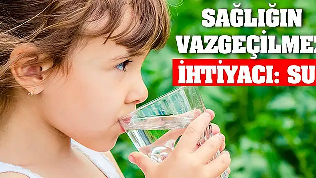 Sağlığın Vazgeçilmez İhtiyacı: Su