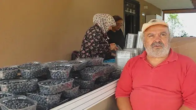 Sağlığına çare ararken yetiştirdiği mavi yemiş geçim kaynağı oldu