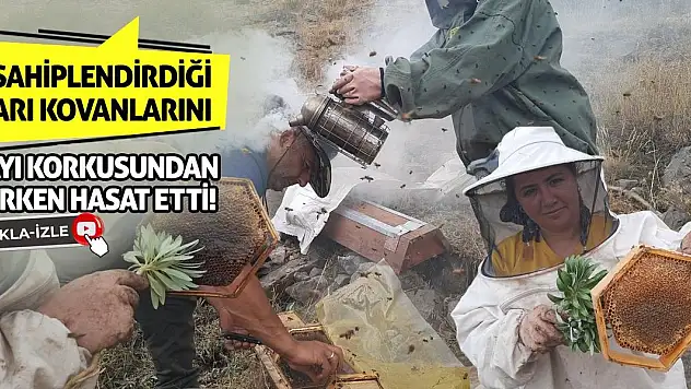 Sahiplendirdiği Arı Kovanlarını Ayı Korkusundan Erken Hasat Etti!