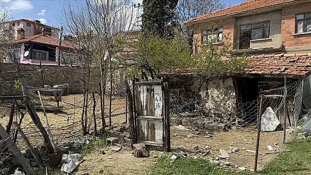 Sahipsiz köpeklerin saldırdığı koyunlar telef oldu