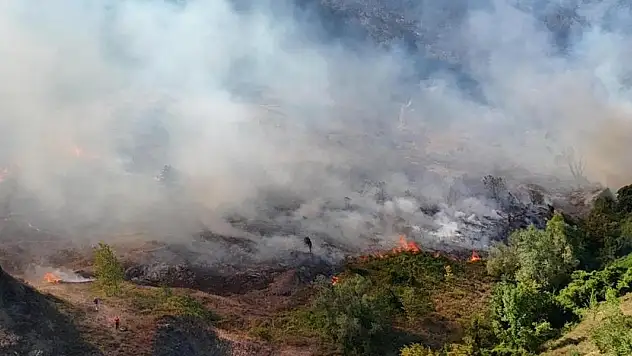 Sakarya'daki orman yangını kontrol altında