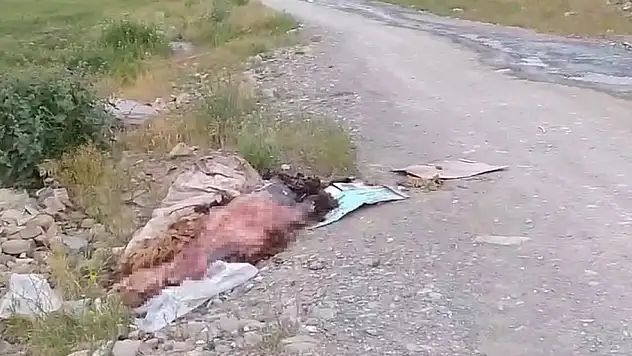 Sakatatların yol kenarına atılmasına tepki!