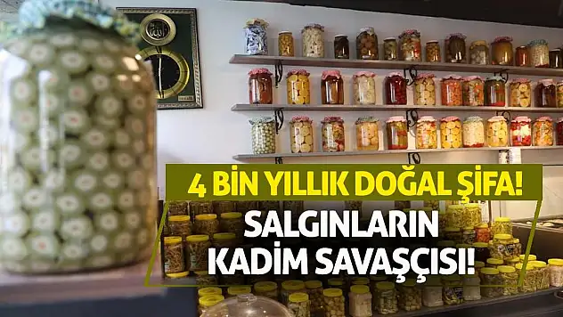 Salgınların Kadim Savaşçısı, 4 Bin Yıllık Doğal Şifa!