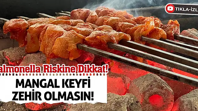 Salmonella Riskine Dikkat! Mangal Keyfi Zehir Olmasın!