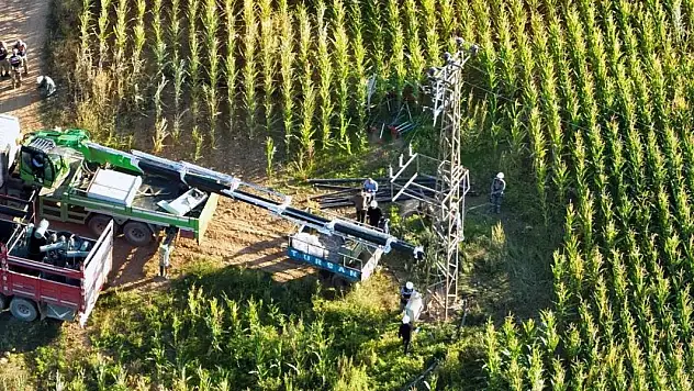 Şanlıurfa'da tarlalarda 15 kayıt dışı trafo tespit edildi