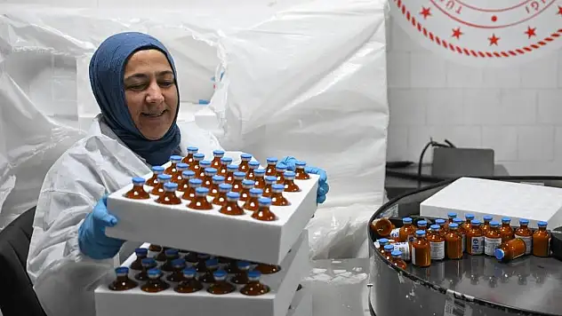 Şap hastalığı için 15 milyon doz aşı sahaya sevk edilecek