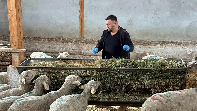 Şap mağduru üreticiler destek bekliyor