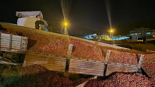 Şarampole düşen tırdaki domatesler yola saçıldı