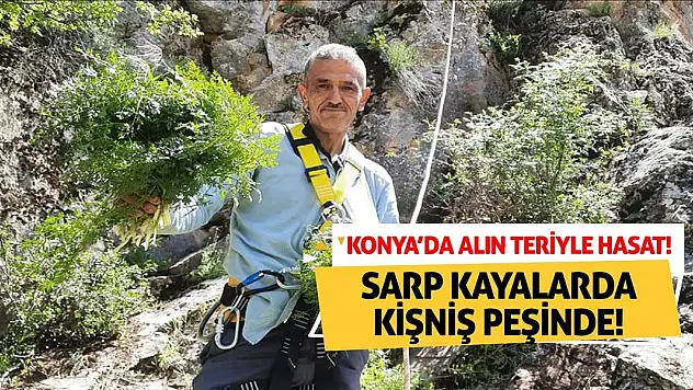 Sarp Kayalarda Kişniş Peşinde! Konya'da Alın Teriyle Hasat!