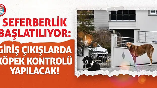 Seferberlik Başlatılıyor! Giriş Çıkışlarda Köpek Kontrolü Yapılacak!