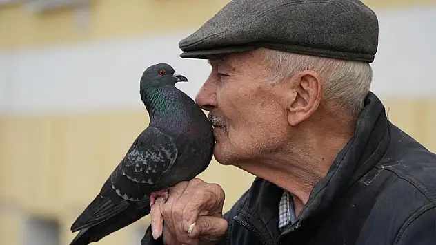 Şehir kuşları kadınlardan daha çok kaçıyor