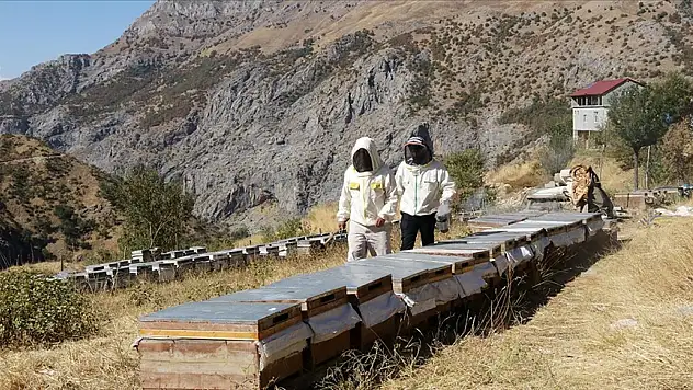Şehirden uzak büyük başarı! 2,5 ton üretiyor!