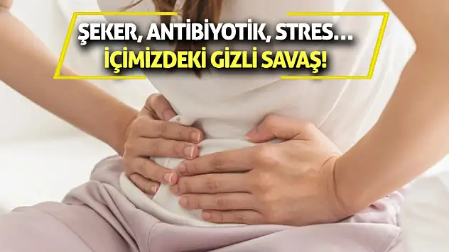 Şeker, Antibiyotik, Stres… İçimizdeki Gizli Savaş!