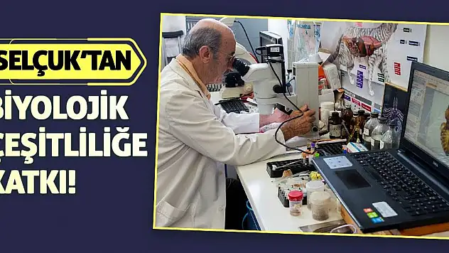 Selçuk'tan biyolojik çeşitliliğe katkı!