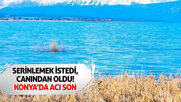 Serinlemek İstedi, Canından Oldu! Konya'da Acı Son
