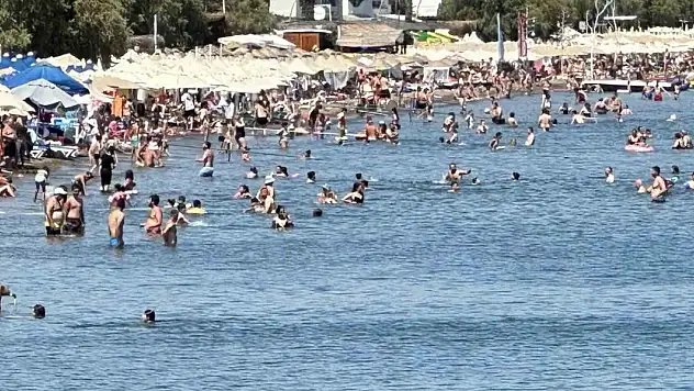 Seyahatsever projesinde doluluk oranı yüzde 70