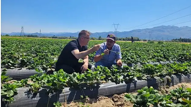 Seydişehir çileği coğrafi işaret aldı