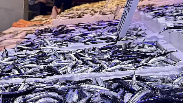 Sezon açıldı: İşte en çok satılan balıklar ve fiyatları...