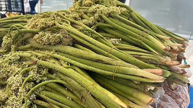 Sezonun son ışkınları tezgâhlarda yerini aldı