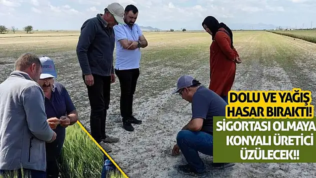 Sigortası Olmayan Konyalı Üretici Üzülecek! Dolu Ve Yağış Hasar Bıraktı…