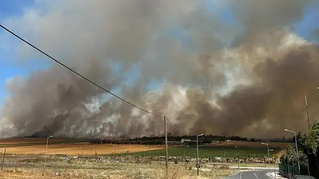 Silivri'de otluk alanda yangın
