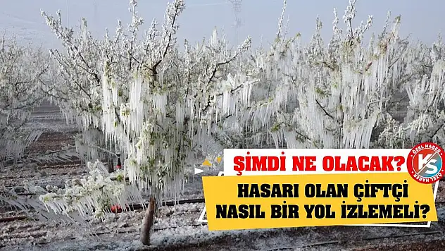 Şimdi ne olacak? Hasarı olan çiftçi nasıl bir yol izlemeli?
