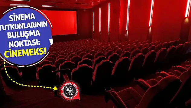 Sinema tutkunlarının buluşma noktası: Cinemeks!