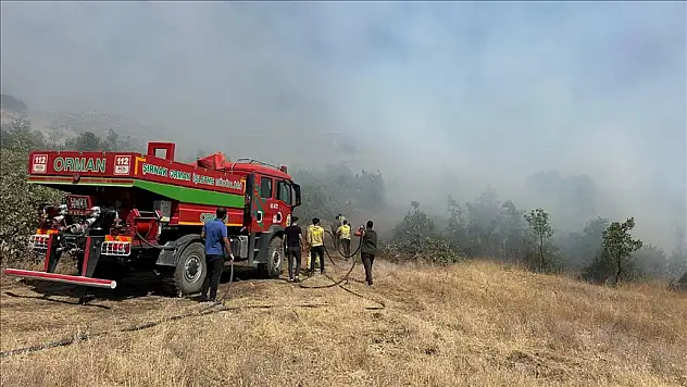 Şırnak Ormanları Alevlerden Kurtuldu