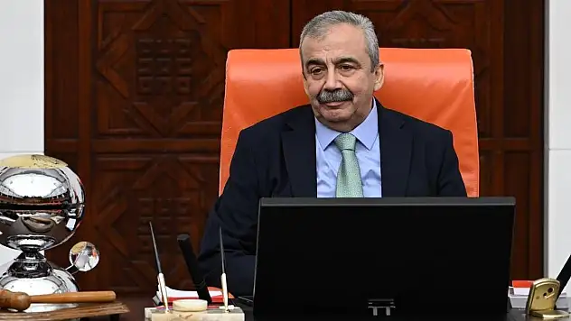 Sırrı Süreyya Önder TBMM'de düzenlenecek törenle anılacak