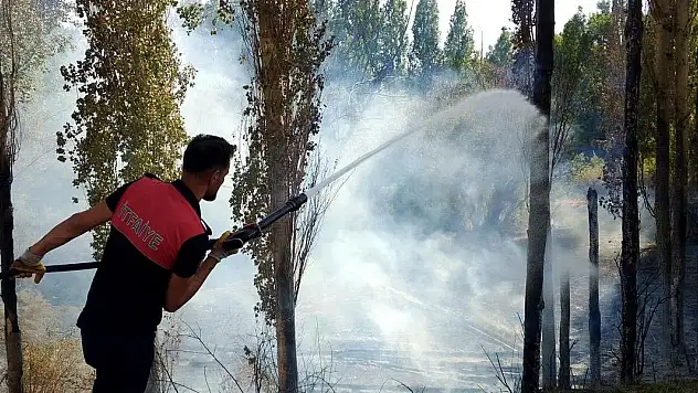 Sivas'ta ağaçlık alanda yangın