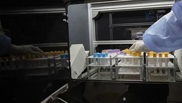 Sivrisinekleri mıknatıs gibi çekiyorlar. Sivrisineklerin çok sevdiği kan grubu belli oldu